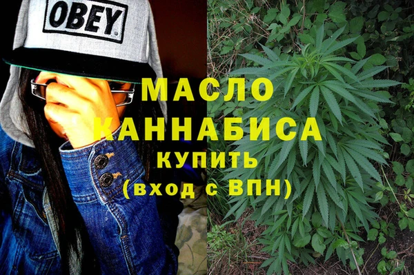 индика Апатиты