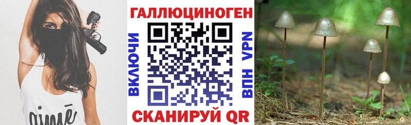 Псилоцибиновые грибы GOLDEN TEACHER  Ессентукская 